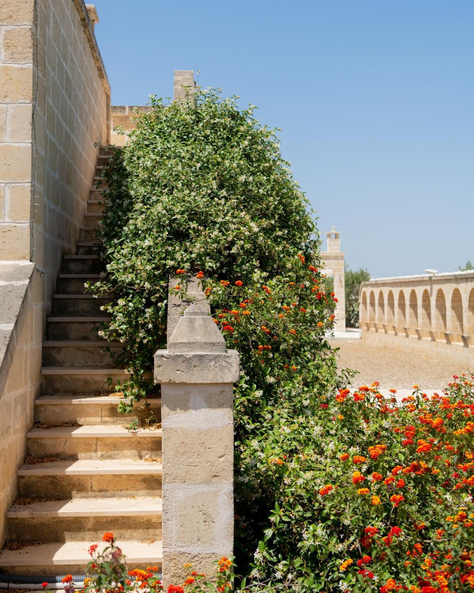 Masseria Agrituristica Lama San Giorgio Rutigliano Bagian luar foto